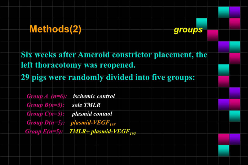 071813365547_02001-03-22直接心肌内注射VEGF基因治疗猪慢性缺血心肌实验研究_6.jpg