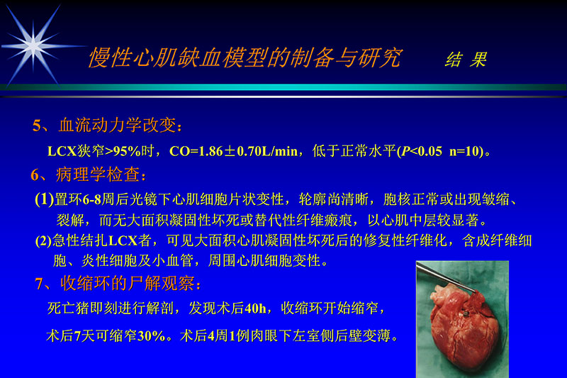 071815272322_02003-12-30vegf基因联合激光心肌血运重建的研究_7.jpg