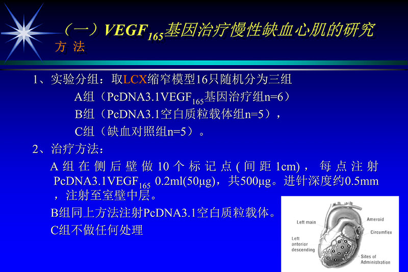 071815272322_02003-12-30vegf基因联合激光心肌血运重建的研究_14.jpg