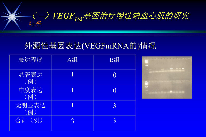 071815272322_02003-12-30vegf基因联合激光心肌血运重建的研究_18.jpg