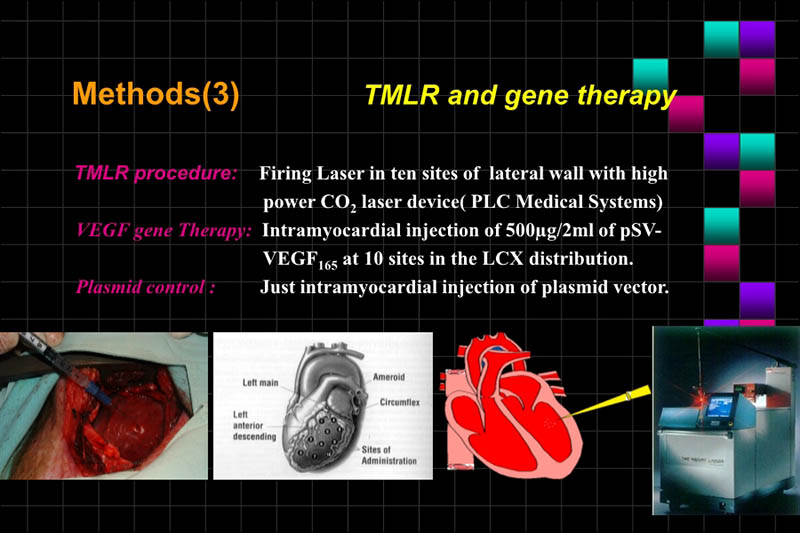 071816283803_0ONOFTMLRANDVEGFGENETHERAPYISCHEMICPORCINEHEART_5.jpg