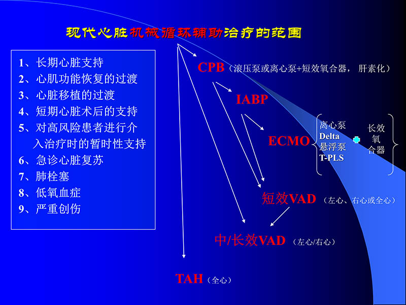 072010470242_02006-03-08人工心室装置治疗心衰临床应用新概念_38.jpg