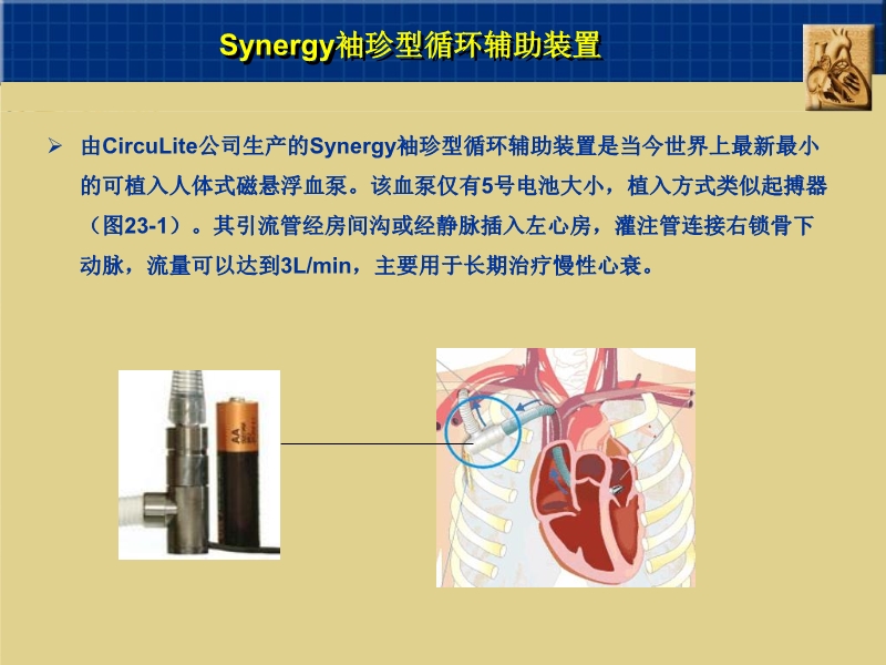 072812160890_02010-06-17心室辅助装置和人工心脏_25.jpg