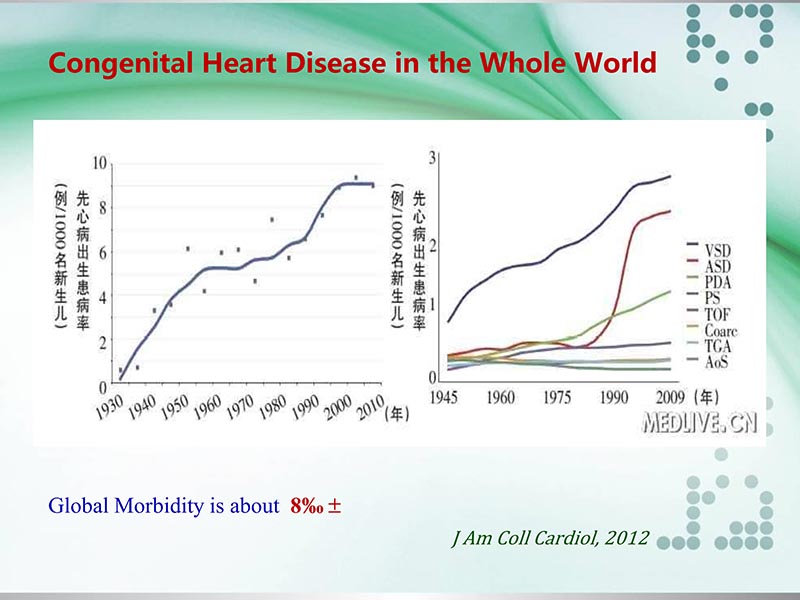 072815331121_0llydatareportoncardiacsurgeryinchinain2012韩国交流_17.jpg