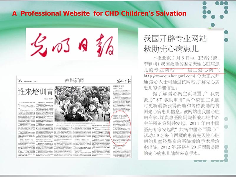 072815331121_0llydatareportoncardiacsurgeryinchinain2012韩国交流_24.jpg