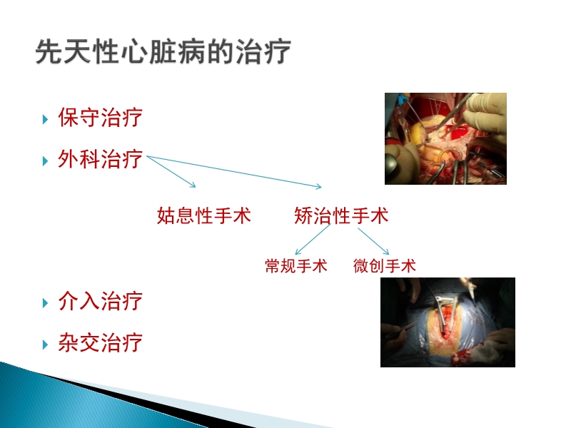 072815373246_02014-08-26先天性心脏病诊治现况_12.jpg