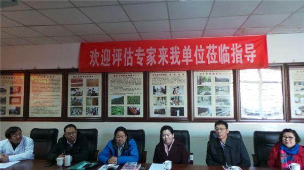 1482132082864121.jpg 6.jpg