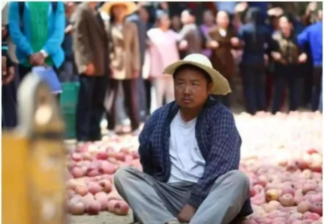 1535948915515004.jpg 1535948915515004.jpg